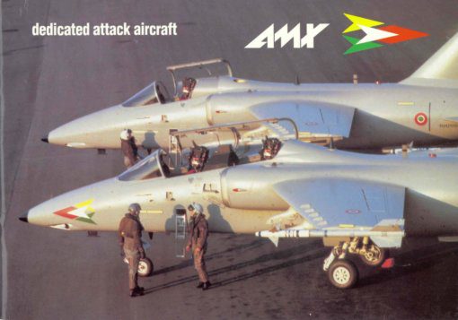 Flight Manual for the AMX